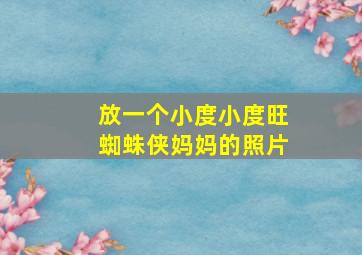 放一个小度小度旺蜘蛛侠妈妈的照片