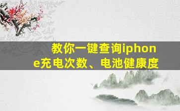 教你一键查询iphone充电次数、电池健康度