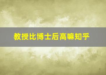 教授比博士后高嘛知乎