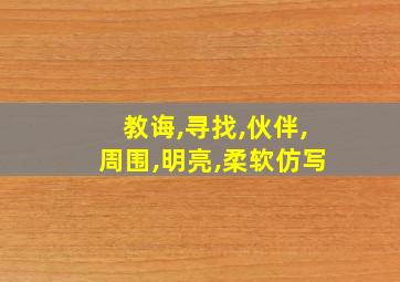 教诲,寻找,伙伴,周围,明亮,柔软仿写