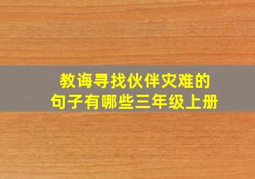 教诲寻找伙伴灾难的句子有哪些三年级上册