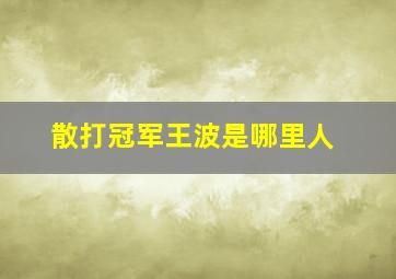 散打冠军王波是哪里人