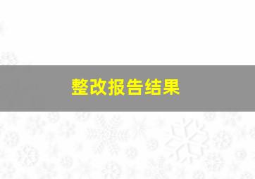 整改报告结果