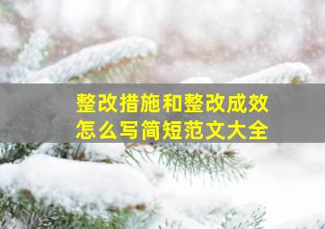 整改措施和整改成效怎么写简短范文大全