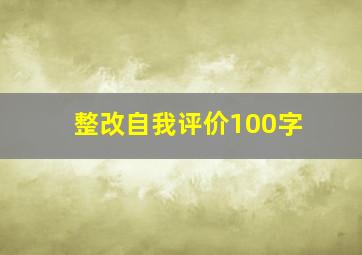 整改自我评价100字