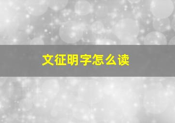 文征明字怎么读