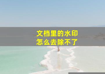 文档里的水印怎么去除不了