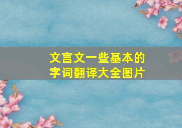 文言文一些基本的字词翻译大全图片