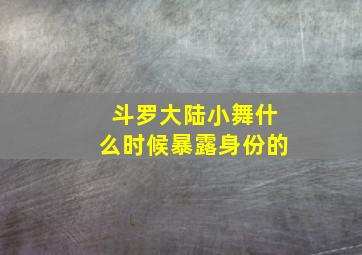 斗罗大陆小舞什么时候暴露身份的