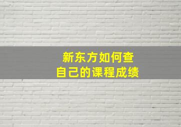 新东方如何查自己的课程成绩