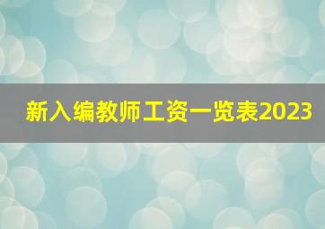 新入编教师工资一览表2023