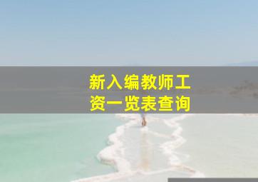 新入编教师工资一览表查询