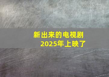 新出来的电视剧2025年上映了