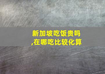 新加坡吃饭贵吗,在哪吃比较化算