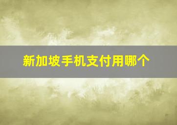 新加坡手机支付用哪个