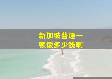 新加坡普通一顿饭多少钱啊