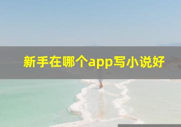 新手在哪个app写小说好