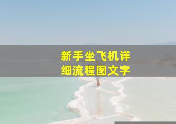 新手坐飞机详细流程图文字