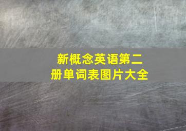 新概念英语第二册单词表图片大全