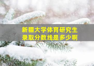 新疆大学体育研究生录取分数线是多少啊