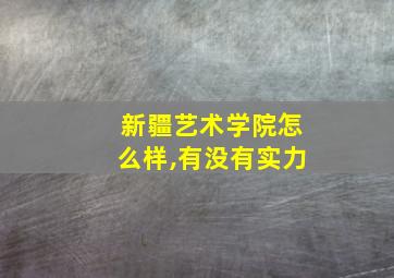 新疆艺术学院怎么样,有没有实力