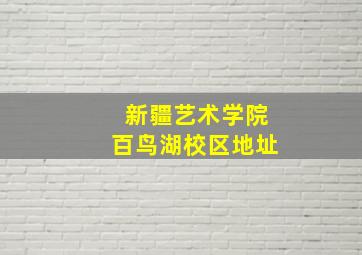 新疆艺术学院百鸟湖校区地址