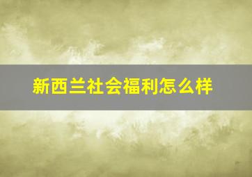 新西兰社会福利怎么样