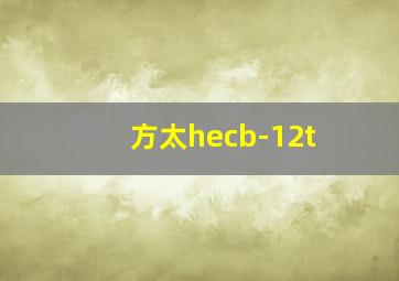 方太hecb-12t