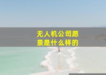 无人机公司愿景是什么样的