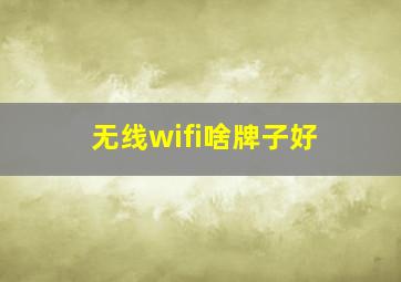 无线wifi啥牌子好