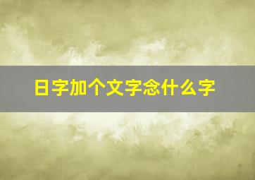 日字加个文字念什么字