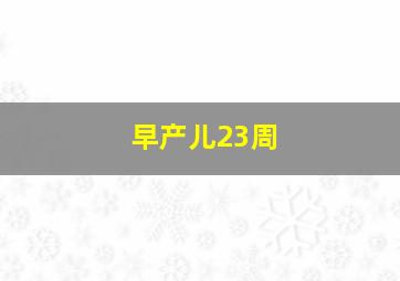 早产儿23周