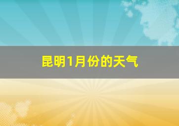 昆明1月份的天气