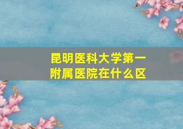 昆明医科大学第一附属医院在什么区