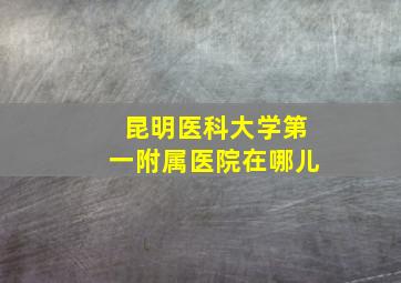 昆明医科大学第一附属医院在哪儿