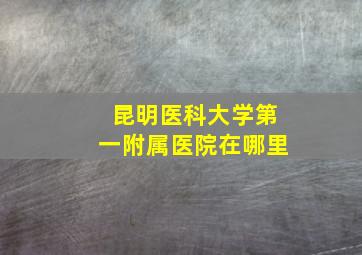 昆明医科大学第一附属医院在哪里