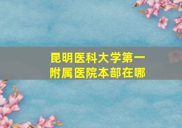 昆明医科大学第一附属医院本部在哪