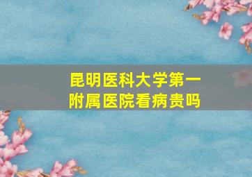 昆明医科大学第一附属医院看病贵吗