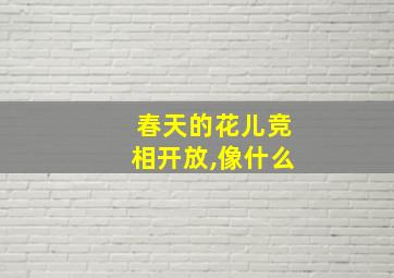 春天的花儿竞相开放,像什么