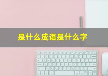 是什么成语是什么字