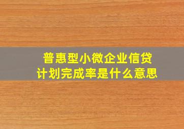 普惠型小微企业信贷计划完成率是什么意思