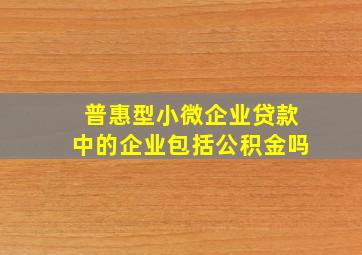 普惠型小微企业贷款中的企业包括公积金吗