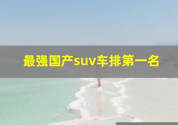 最强国产suv车排第一名