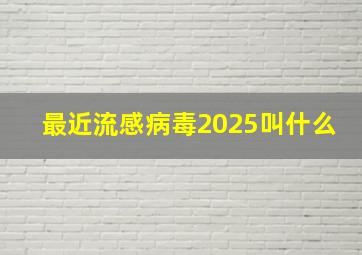 最近流感病毒2025叫什么