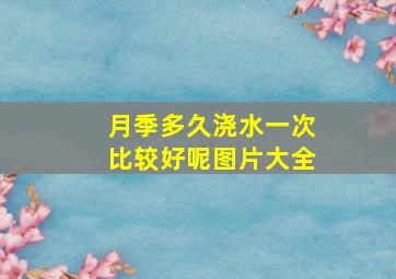 月季多久浇水一次比较好呢图片大全