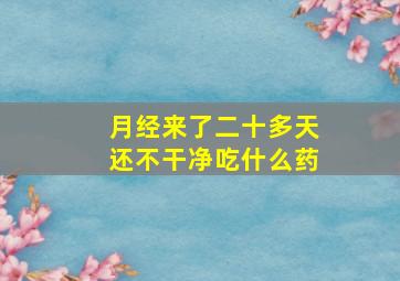 月经来了二十多天还不干净吃什么药