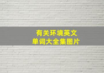 有关环境英文单词大全集图片