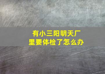 有小三阳明天厂里要体检了怎么办