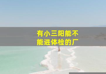 有小三阳能不能进体检的厂