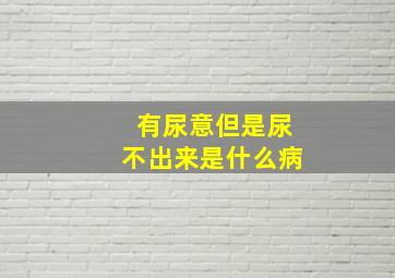 有尿意但是尿不出来是什么病